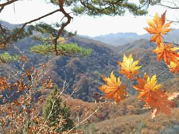 打胎药购买方法去医院看打胎药多少钱（去医院吃打胎药多少钱）